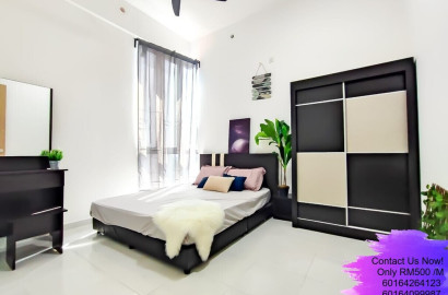Harmony Fully Furnished Single Room
