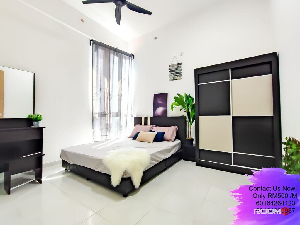 Harmony Fully Furnished Single Room